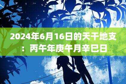 2024年6月16日的天干地支：丙午年庚午月辛巳日