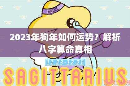 2023年狗年如何运势？解析八字算命真相