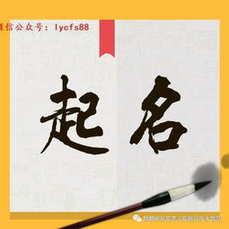 根据自己的八字取名字)