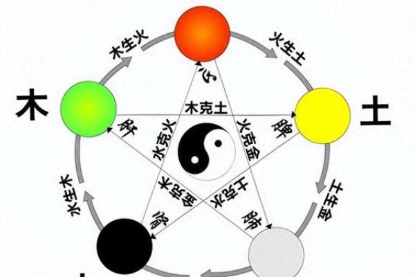 鼠命五行：探寻五行中鼠命的奥秘与命理的启示