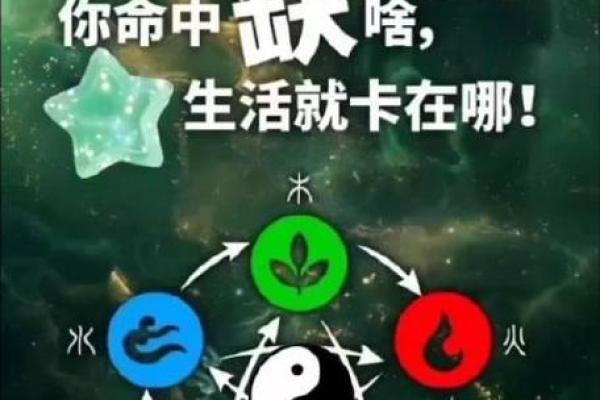 五行不缺多木，命理中的智慧与启示