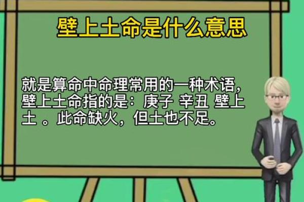 土命人与其他命人的相克与和谐关系探究