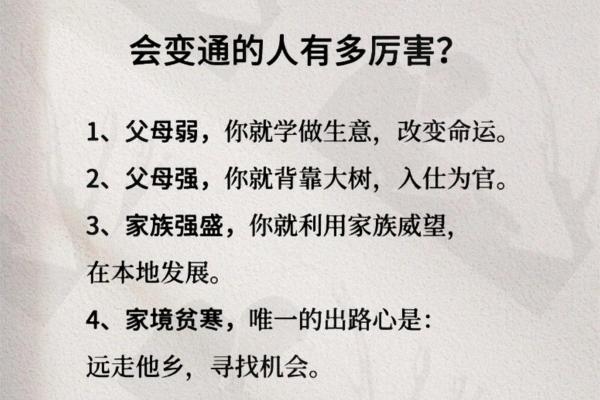 贤妻良母命的定义与探讨：她们的背后有何人生智慧？