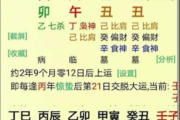 探秘乙木女命：与婚姻、爱情的深刻联系