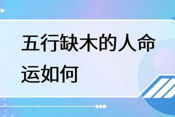 五行木命与命理相生：探索命运的和谐之道