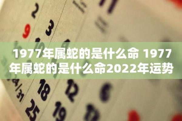 土命人最吉利数字解析：如何利用数字提升运势与生活质量