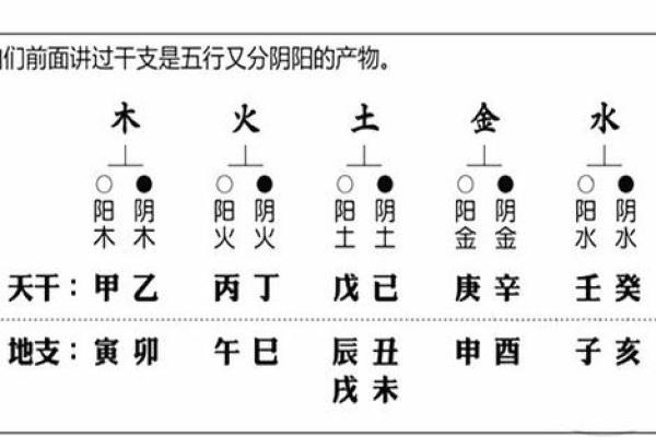 姓名五行解析：探寻命理奥秘，揭示人生轨迹