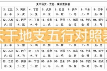 探究十大天干五行，揭示你的命理密码！