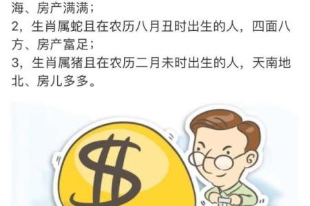 探秘属猪人的命理与命格：解码幸福人生的秘密