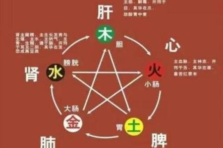 文昌命的奥秘：如何培养智慧与事业的成功之路