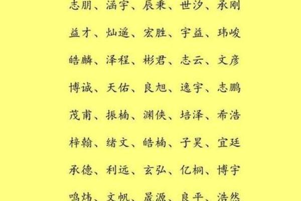 为男孩双胞胎取名字的巧妙技巧与灵感分享