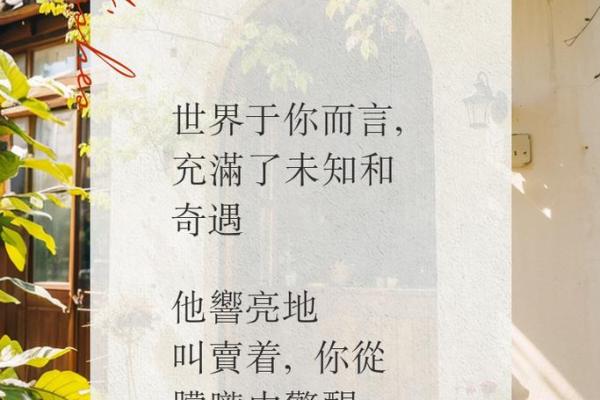 阎王关命理解析：揭秘男孩命运背后的深意与影响