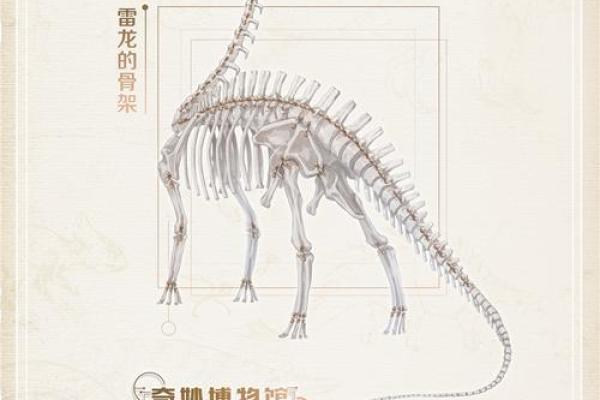 探秘石狮大肉：命格与运势的奇妙联系