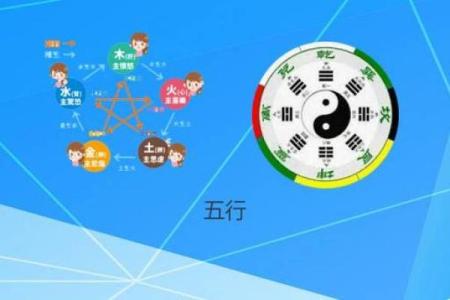 五行之木命：揭秘与木相连的动物与文化意义