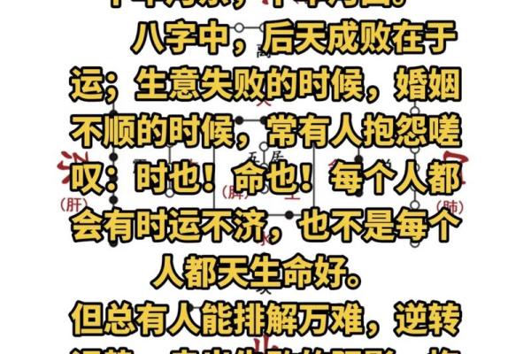 一九二五年出生属相解析：了解你的命与运，让生活更精彩！