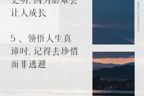 探寻“这是他的命”的深意，领悟人生的真谛