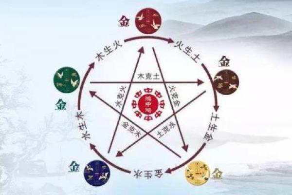 水命与木命车牌选择：助你顺畅行驶的秘笈