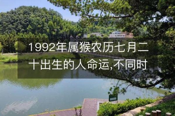 探索1967年属猴人的命运与性格特点_1