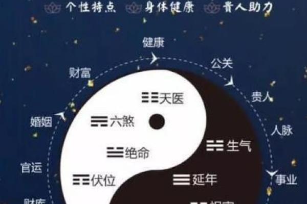 探寻天医命与延年命的奥秘：生命的延续与养护之道