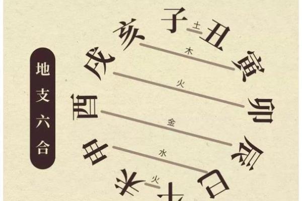 水命五行属性解析：哪些水命是最优选择？