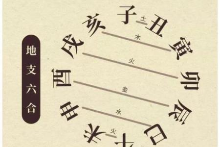 水命五行属性解析：哪些水命是最优选择？