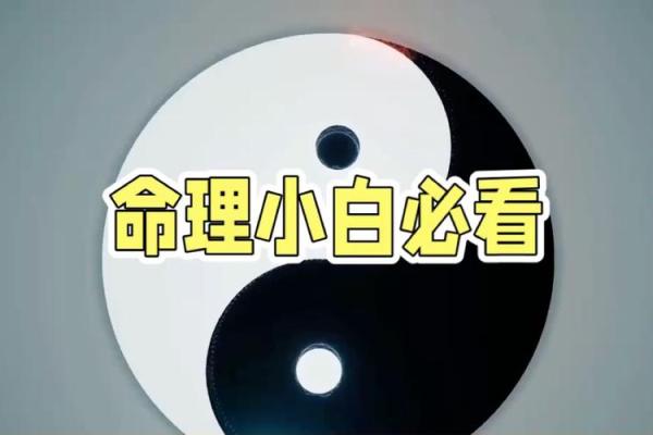 五行与命运：探寻命理的奥秘，解码人生的密码