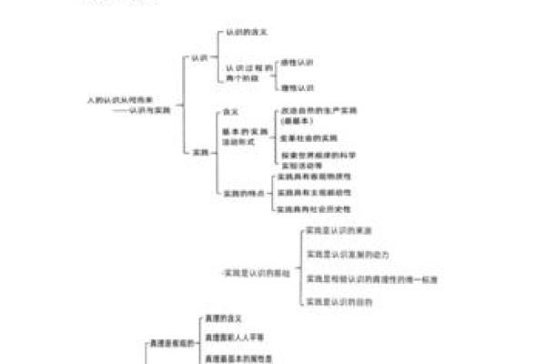 探索人生命理：解读命运与人生的奥秘