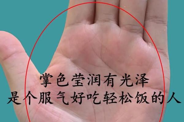 她的手掌藏着的秘密：九个斗的命运解析