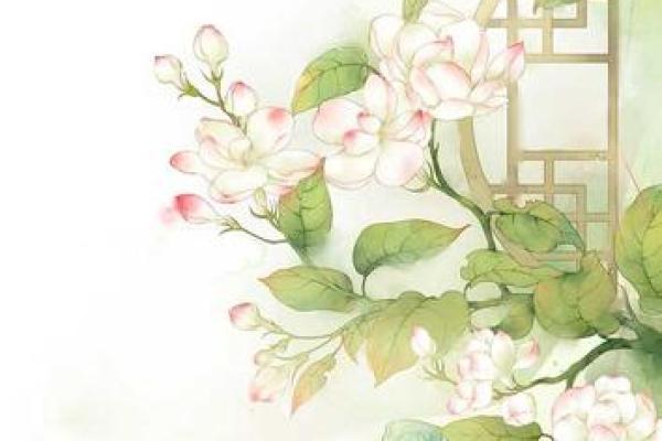 杨柳木命女命名之道：灵动而富有诗意的名字选择
