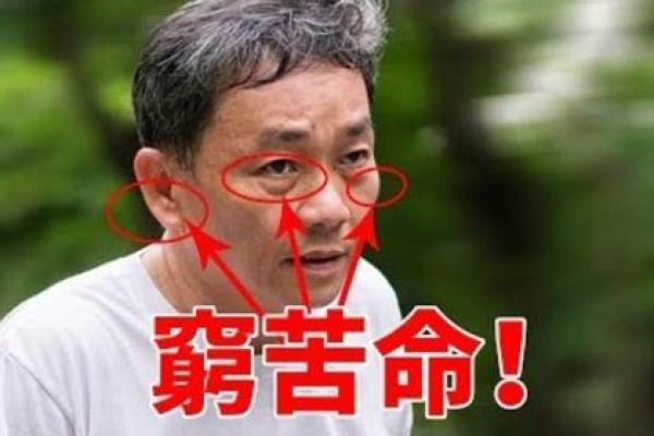 探秘五月二日出生者的命运与性格特征