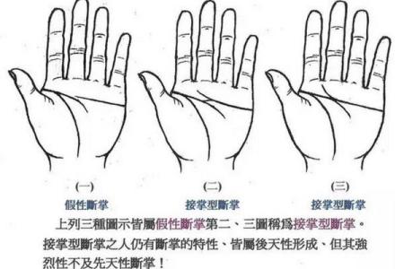 双手断掌的命运解析：揭示性格与人生的神秘联系