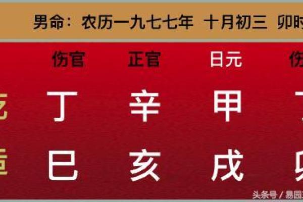 掌握命理玄机：解析命理中“火命”的困境与生存之道