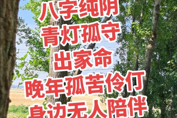 探索八字纯阴命格：生辰如何决定命运的阴阳平衡