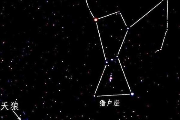 探索双星的秘密：那些拥有两个学命的星座