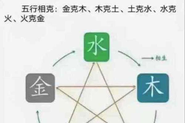 五行水命与财富的完美结合：揭秘最佳合作伙伴！