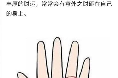 算手相能揭秘你的一生，了解命运之门的密码！