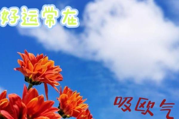 运气好的人最怕什么命？揭示生活中的不安与焦虑！