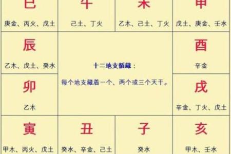 探秘八字：乳房在命理中的象征与意义