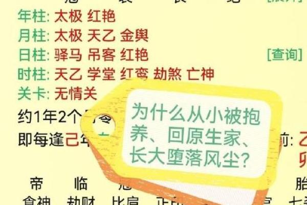 五行命理与运势：解密你的命格与人生方向