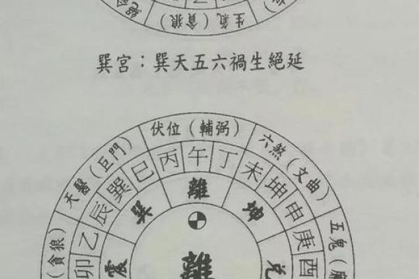 为什么只有西四命东四命？探索命理学中的秘密！