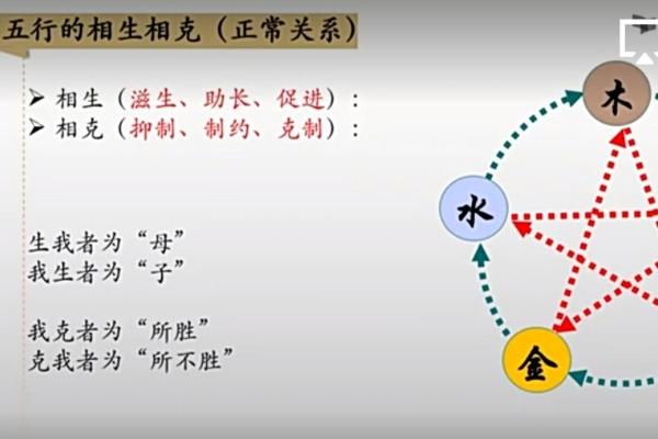 松柏木命与五行相生相克的完美结合