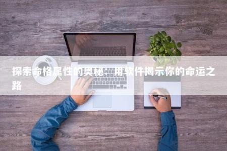 探索命格属性的奥秘：用软件揭示你的命运之路