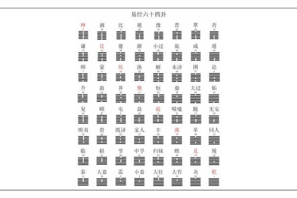 通过命理卦象洞察人生缺失，揭示内心所需的智慧之旅