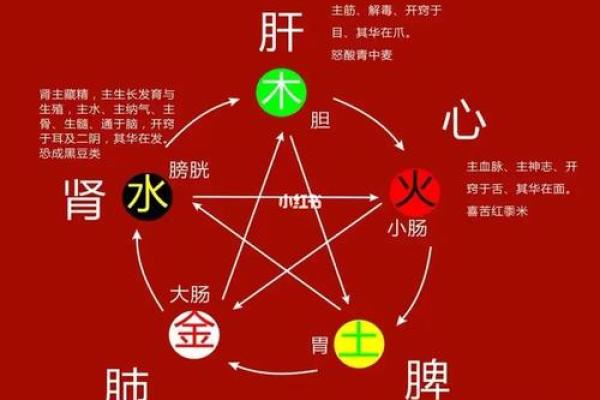 五行金命者适合的行业与发展路径探讨