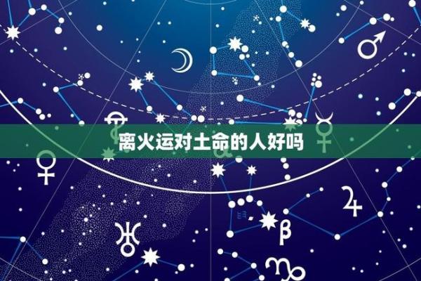 松柏木命与土命的完美结合——探索五行中的和谐美好