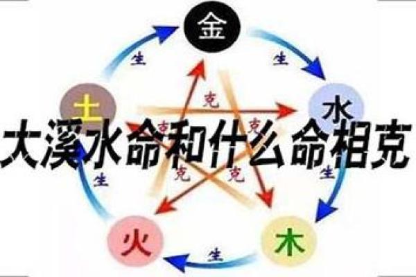 松柏木命与土命的完美结合——探索五行中的和谐美好