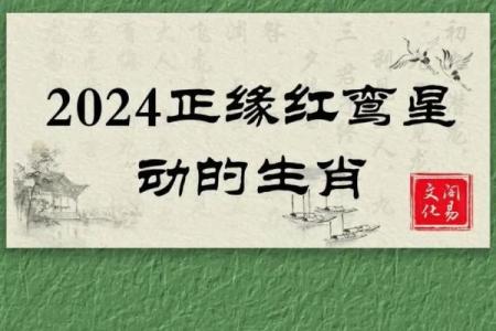 探寻八字解析：命中注定的福命女性特征与人生智慧