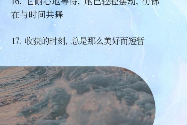 为什么猫没有第十条命？揭示猫咪神秘传说背后的科学与真相