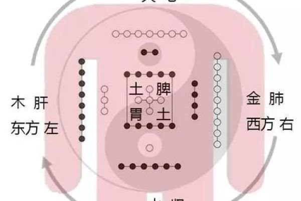 探秘五行中的金水命：赋予生命的和谐之道