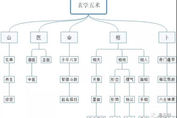 探索玄学九宫格：揭示命运的奥秘与人生的选择